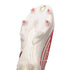 Adidas Predator Edge .1 FG Showdown - Off White/Vivid Red/Gold Metallic